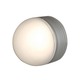 Micromoon Exterior Wall / Ceiling Mount - Satin/Brushed / Frosted Micromoon Exterior Wall / Ceiling Mount - Satin/Brushed / Frosted