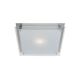 Vision Square Wall or Ceiling Mount - Brushed Steel / Frost