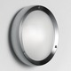 Niki Wall / Ceiling Mount - Satin Steel / Opal