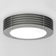 Lyra Indoor/Outdoor Ceiling/Wall Mount - Nickel / White