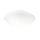 Janeiro Wall / Ceiling Mount - White / Opal