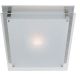 Vision Square Wall or Ceiling Mount - Brushed Steel / Frost