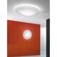 Muse Wall / Ceiling Mount -  / 
