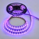Soft Strip 2.6W 24V RGB Soft Strip 2.6W 24V RGB