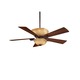 Lineage Fan Lineage Fan