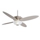 Zen Fan