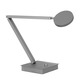 Ciclo LED Table Lamp - Raw Platinum / 
