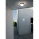 Scotch Wall / Ceiling Mount -  / 