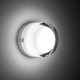Scotch Wall / Ceiling Mount - Chrome / White