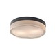 Fluid Round Wall / Ceiling Mount - Antique Bronze / Clear