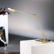 Bernie Table Lamp - Polished Brass/Brushed Brass / 