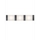 Kinze LED Vanity Light - Gunmetal / White