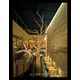 Stratus Cool White Linear Wall Grazer -  / 