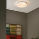 Cirque Wall / Ceiling -  / 