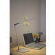 Z-Bar Solo Mini LED Warm White Desk Lamp -  / 