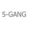 5-Gang