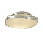 Flora Ceiling Light Fixture - Sterling / Opal