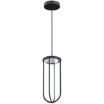 In Vitro Outdoor Pendant - Black / Transparent