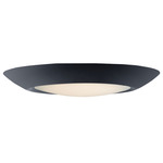 Diverse Non-T24 3000K Wet Location Ceiling Light - Black / White