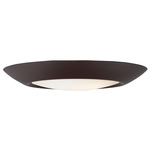 Diverse Non-T24 3000K Wet Location Ceiling Light - Bronze / White