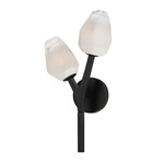 Blossom Wall Sconce - Black / Frosted