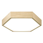 Hexol Ceiling Light Fixture - Oxidized Gold / White