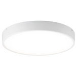 Plato Ceiling Light Fixture - White / Frosted