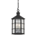 Lake County Outdoor Pendant - French Iron / Clear Seeded
