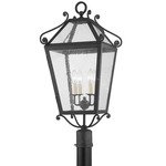 Santa Barbara County 120V Outdoor Post Light - French Iron / Clear Seeded