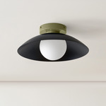 Arundel Orb Surface Mount - Reed Green Canopy / Black Shade