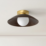 Brass Arundel Orb Surface Mount - Brass Canopy / Patina Brass Shade