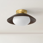 Brass Arundel Mushroom Surface Mount - Brass Canopy / Patina Brass Shade