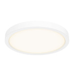 Delta Color Select Round Outdoor Wall / Ceiling Light - White / Frosted