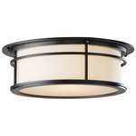 Province Outdoor Ceiling Light Fixture - Open Box - Coastal Burnished Steel / Opal