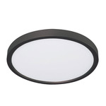 Edge Color-Select Ceiling Light - Black / White Acrylic