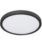 Edge Color-Select Ceiling Light - Black / White Acrylic