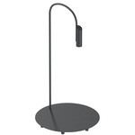 Caule Indoor/Outdoor Floor Lamp - Black