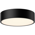 Brisbane Ceiling Light Fixture - Matte Black / Frosted