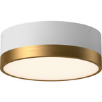 Brisbane Ceiling Light Fixture - Aged Gold / White / Frosted