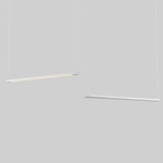 Form Linear Suspension w/ Standard Canopy - Matte White / White