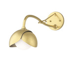 Brooklyn Double Shade Long Arm Wall Sconce - Modern Brass / Modern Brass