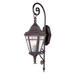 Morgan Hill Outdoor Wall Sconce - Natural Rust / Clear