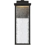 Venya Outdoor Wall Sconce - Black / Clear