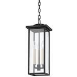 Eden Outdoor Pendant - Black / Clear