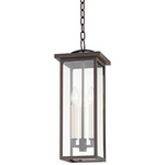 Eden Outdoor Pendant - Bronze / Clear