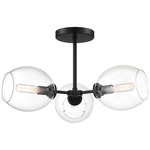 Nexpo Semi Flush Ceiling Light - Coal / Clear