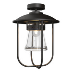 Erlenmeyer Outdoor Ceiling Light - Coastal Oil Rubbed Bronze / Clear