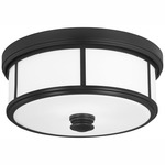 Harbour Point Small Ceiling Light - Coal / Etched Opal