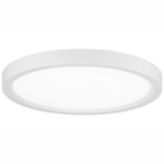 Vantage Ceiling Light - White / White