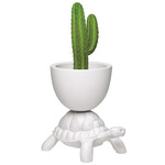 Turtle Carry Planter & Champagne Cooler - White